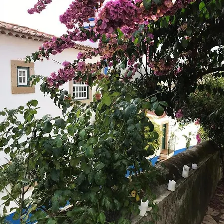 Casa Picva