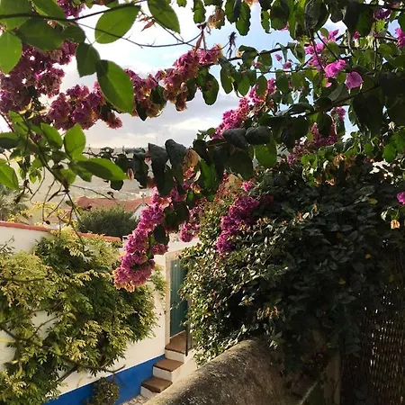 Casa Picva Guest house *