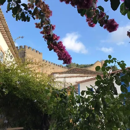 Casa Picva بيت ضيافة *