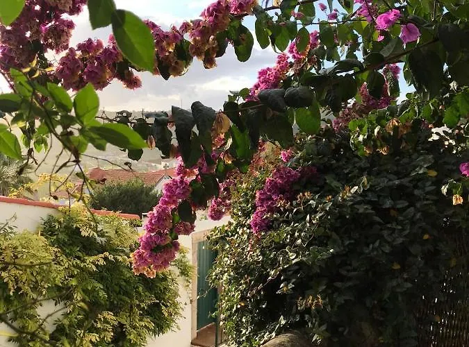 Casa Picva Pensión 3*